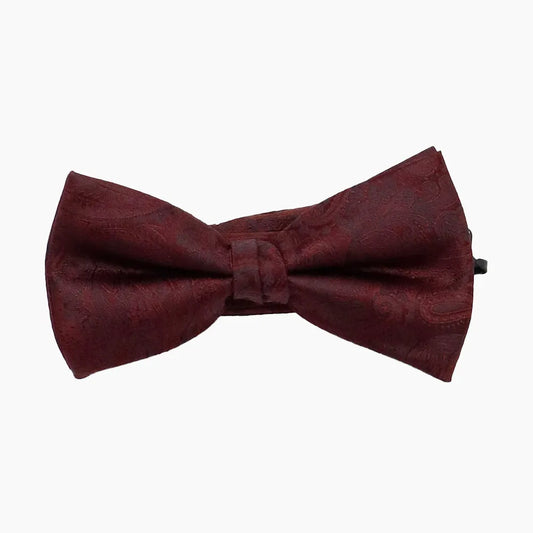 Colored Bow Tie Paisley